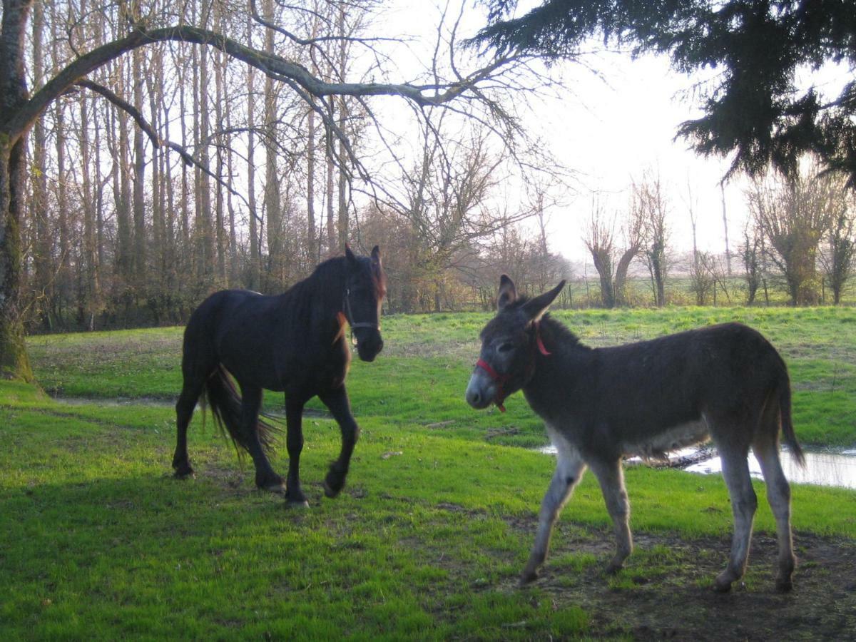 Vila La Ferme De Tigny Exteriér fotografie