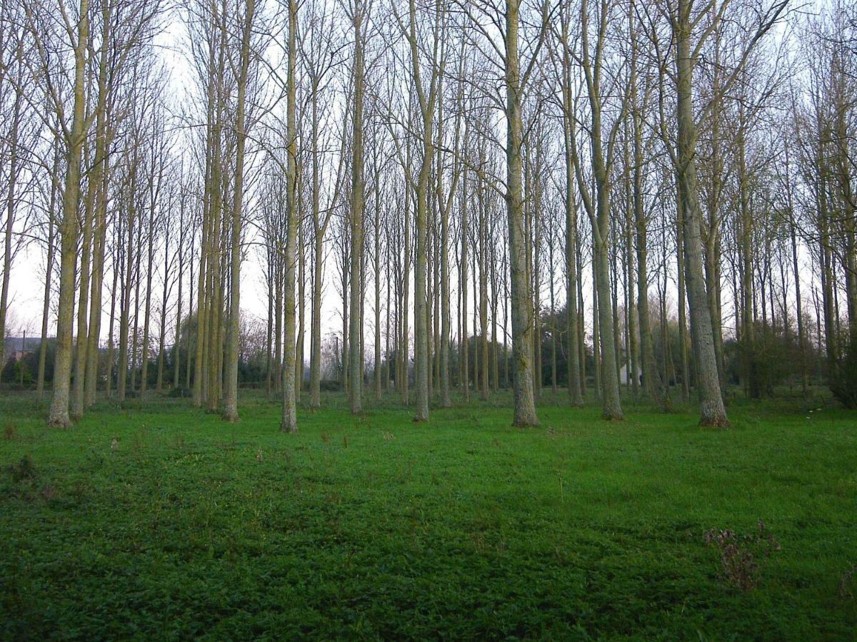 Vila La Ferme De Tigny Exteriér fotografie