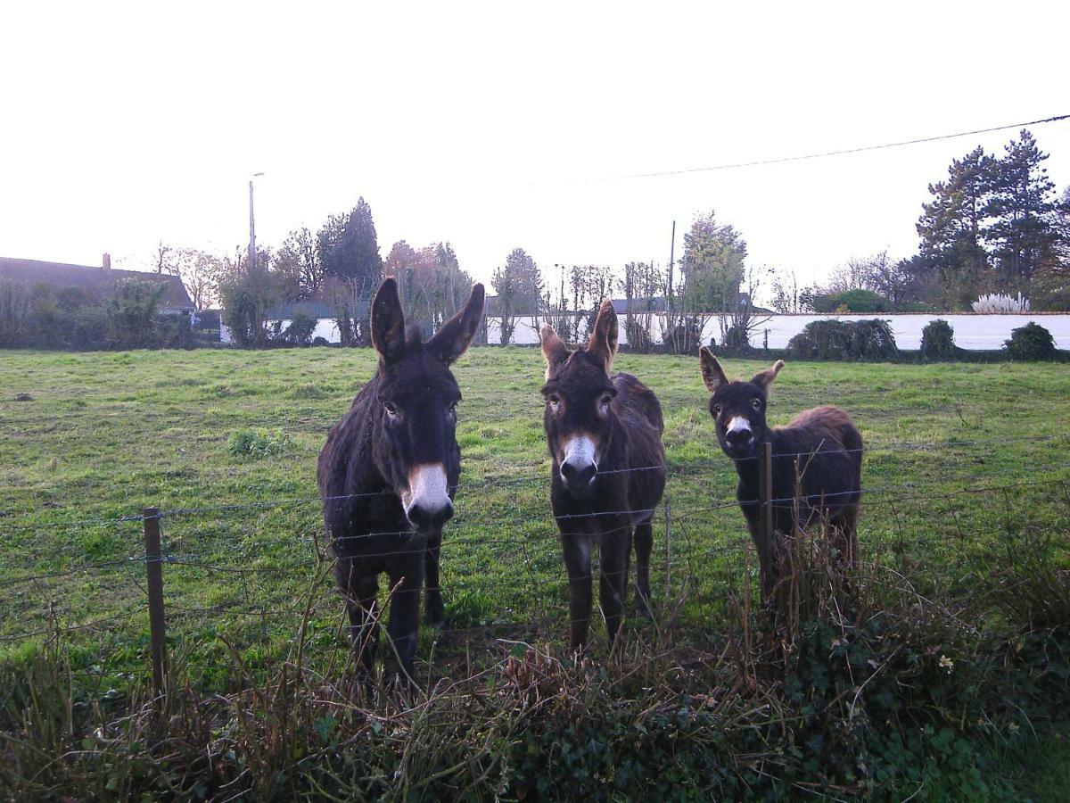 Vila La Ferme De Tigny Exteriér fotografie