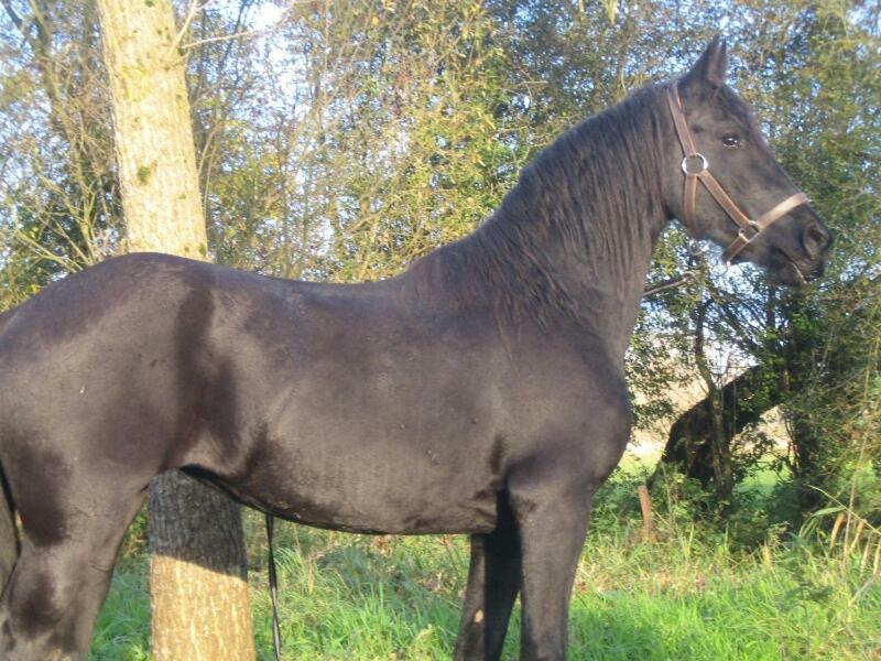 Vila La Ferme De Tigny Exteriér fotografie