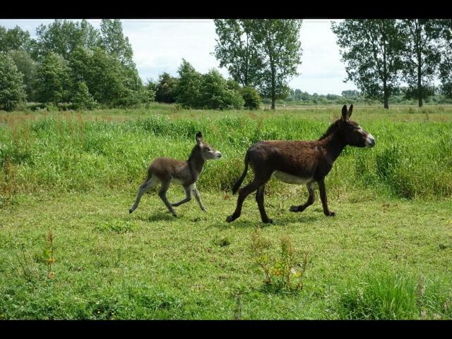 Vila La Ferme De Tigny Exteriér fotografie